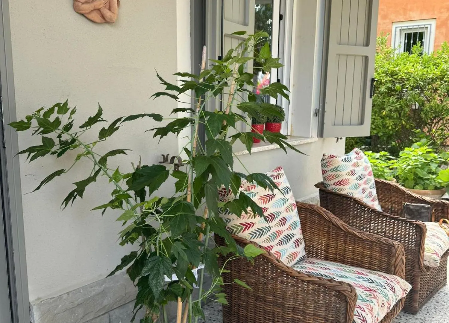 Pesciolino Rosso Villa Cesenatico 0*,